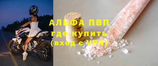 индика Беломорск