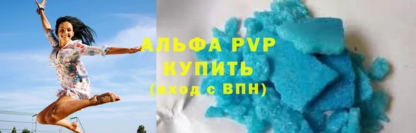индика Беломорск
