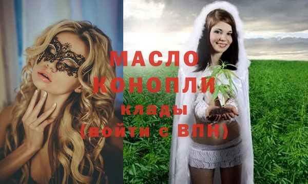 индика Беломорск