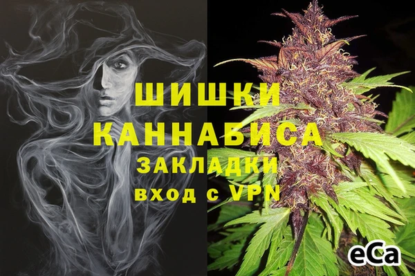 индика Беломорск
