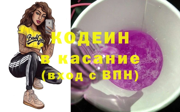 индика Беломорск