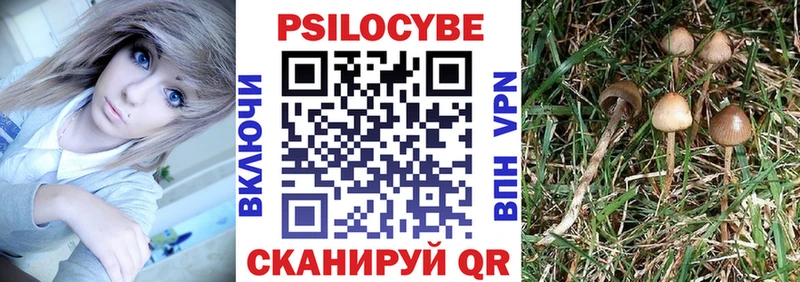 Галлюциногенные грибы MAGIC MUSHROOMS  где найти наркотики  Кубинка 